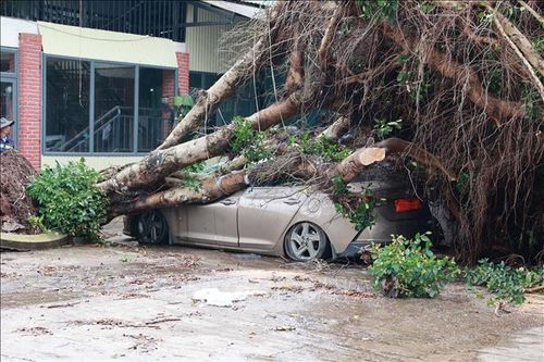Mưa to kèm dông lốc gây nhiều thiệt hại tại Lâm Đồng