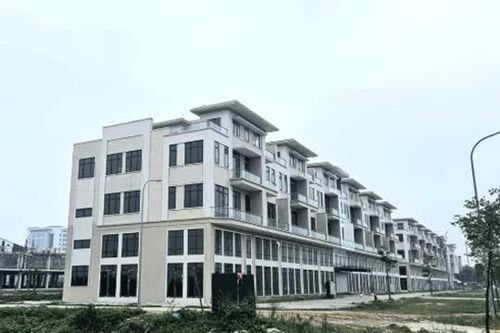 PXA giải trình thế nào khi kinh doanh sa sút và chậm nộp báo cáo tài chính?