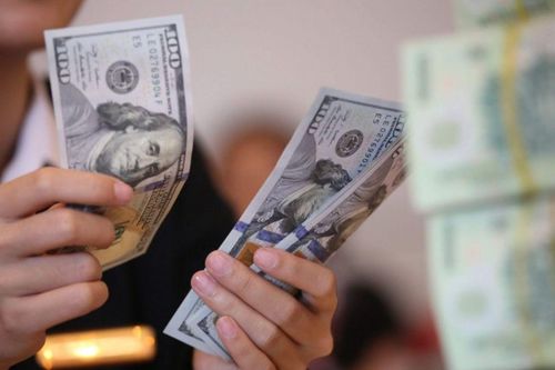 Tỷ giá USD hôm nay (8/8): Giảm mạnh