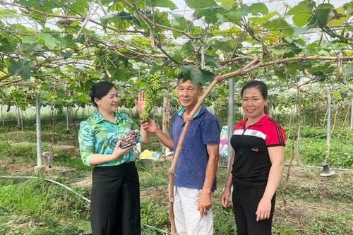 Bắc Ninh: Phụ nữ là nòng cốt, tích cực, chủ động xây dựng nông thôn mới