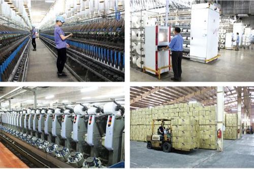 Dệt Đông Tiến Hưng 'chây ì' nghĩa vụ thuế, Giám đốc công ty bị tạm hoãn xuất cảnh