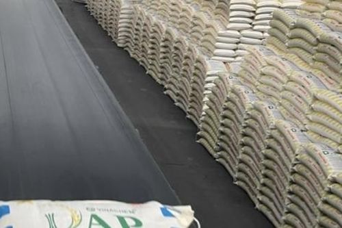 Công ty CP DAP - Vinachem: Vượt qua khó khăn, bứt tốc ngoạn mục