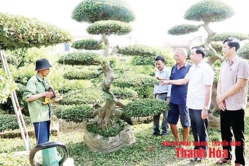 Khai thác 'Không gian mới, nguồn lực mới' để Định Tân trở thành xã kiểu mẫu