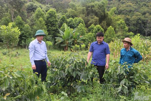 Nâng cao giá trị sản xuất ngành nông nghiệp
