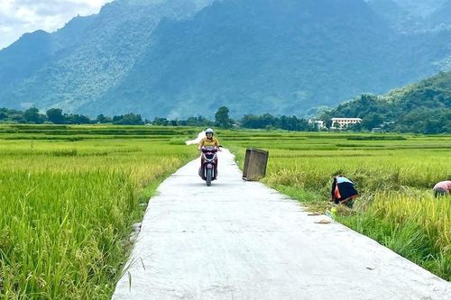 Tập trung xây dựng nông thôn mới sau sáp nhập