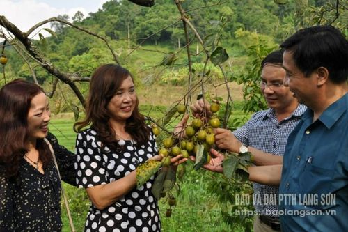 Vững một niềm tin - Bài 3: Hiện đại hóa nông nghiệp nông thôn