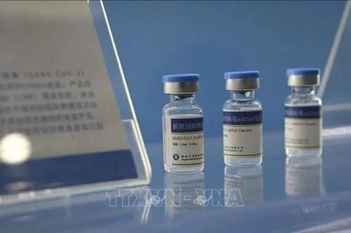 Chính phủ Mỹ hủy nhiều hợp đồng đầu tư phát triển vaccine