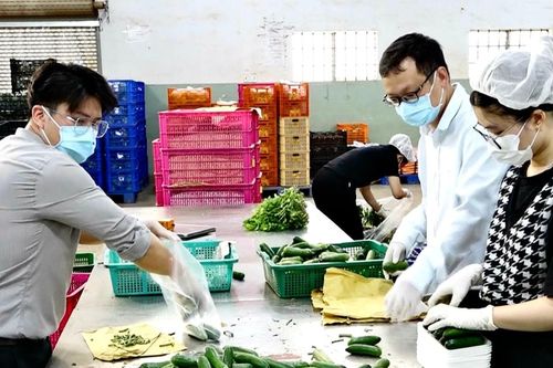 Lâm Đồng bảo đảm nguồn cung ứng nông sản an toàn ra thị trường