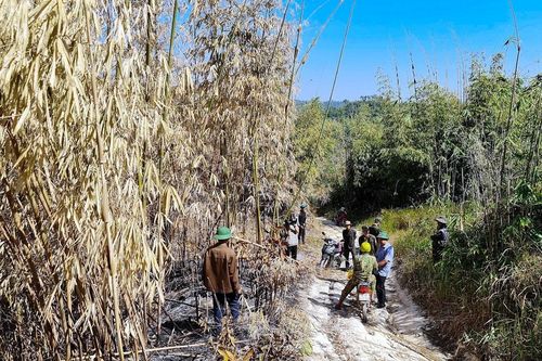 Khoản nợ thuế 'khủng' của nhiều chủ rừng tại Lâm Đồng