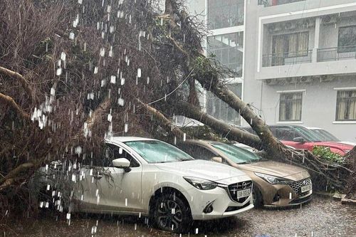 Trận mưa giông bất thường 'cuốn phăng' 2 tỷ đồng tại phường Bắc Gia Nghĩa