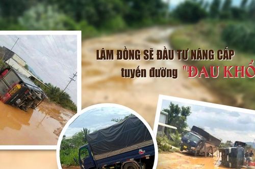 Lâm Đồng sẽ đầu tư nâng cấp tuyến đường 'đau khổ'
