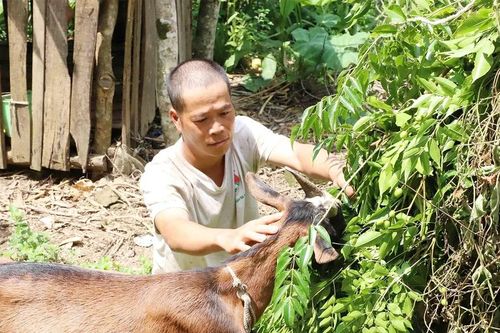 Biến con giống thành sinh kế, giúp dân thoát nghèo