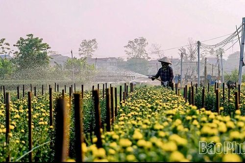 Xuân Lãng gỡ khó việc vận hành chính quyền địa phương 2 cấp
