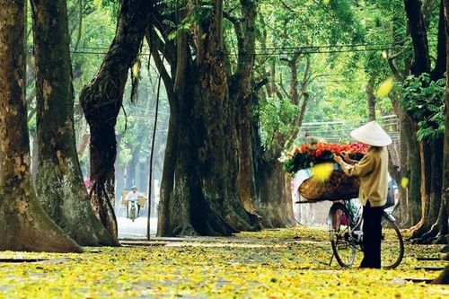 Hà Nội và TP Hồ Chí Minh vào danh sách 'Các thành phố tuyệt vời nhất thế giới'