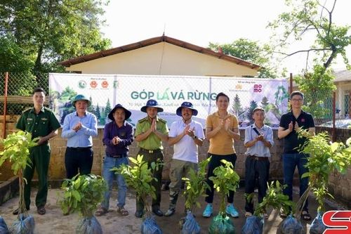 Tiếp tục hành trình 'Góp lá vá rừng'