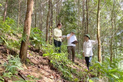 Quản lý, sử dụng hiệu quả đất được nhà nước giao: Trách nhiệm từ nhiều phía - Bài cuối: Siết chặt công tác quản lý đất đai tại các công ty nông - lâm nghiệp