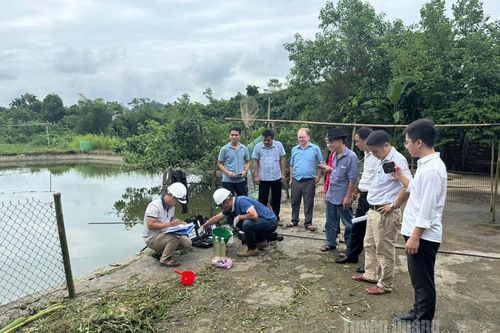 Lấy mẫu nước tìm nguyên nhân cá chết tại xã Bắc Quang