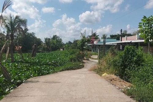 Cà Mau chủ động ứng phó, khắc phục sạt lở và sụt lún đất