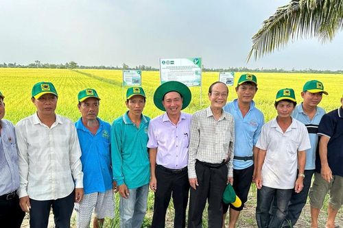 Hướng tới nông nghiệp tuần hoàn, giảm phát thải