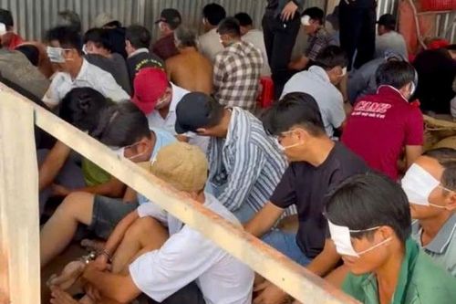 Phá trường gà, tạm giữ 51 con bạc với hơn 200 triệu đồng