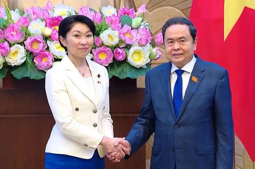Thúc đẩy giao lưu hợp tác nghị sĩ Việt Nam - Nhật Bản