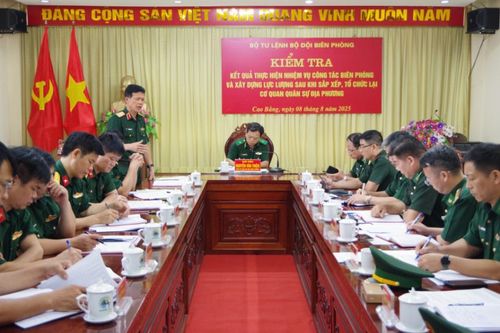 Kiểm tra kết quả thực hiện nhiệm vụ công tác Biên phòng sau khi sắp xếp, tổ chức lại cơ quan quân sự địa phương