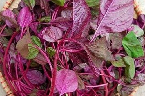 4 loại 'rau tăng chiều cao' cho trẻ vào mùa hè vì cực giàu canxi, có loại rau còn vượt trội hơn sữa bò