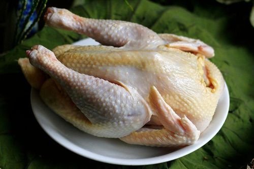Cảnh báo: Thịt gà có 5 dấu hiệu này cần bỏ đi ngay, đừng tiếc mà giữ lại kẻo rước họa vào thân