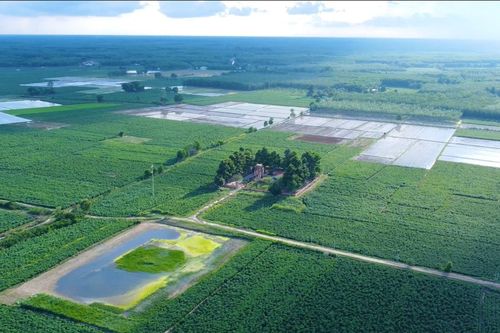 Khi 'chảo lửa' Tây Ninh thôi khát: Bước ngoặt từ những dòng kênh mới