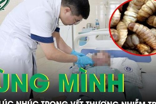 Rùng mình giòi lúc nhúc trong vết thương nhiễm trùng