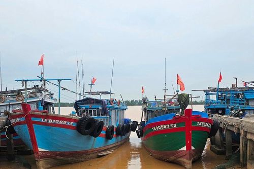Thanh Hóa: Cảng cá bồi lắng, hạ tầng xuống cấp