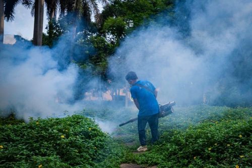 Căn bệnh khiến Trung Quốc áp dụng biện pháp nghiêm ngặt đối phó
