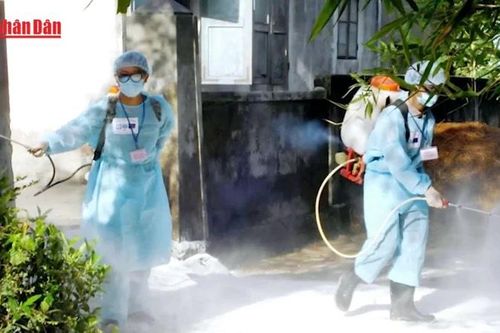 Bộ Y tế yêu cầu các địa phương tăng cường công tác phòng, chống bệnh liên cầu lợn sang người