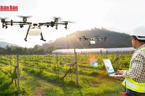 Việt Nam ưu tiên triển khai sớm ba sản phẩm công nghệ chiến lược
