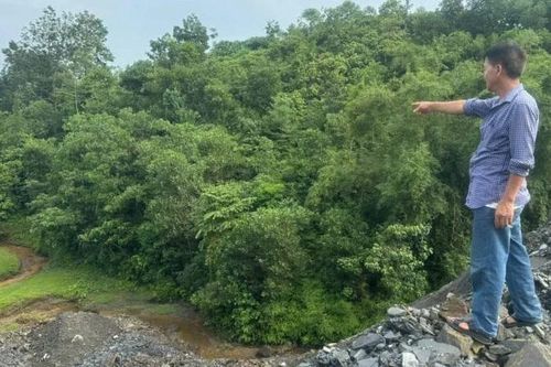 Cần sớm xác định nguyên nhân cá nuôi chết hàng loạt ở Bắc Quang