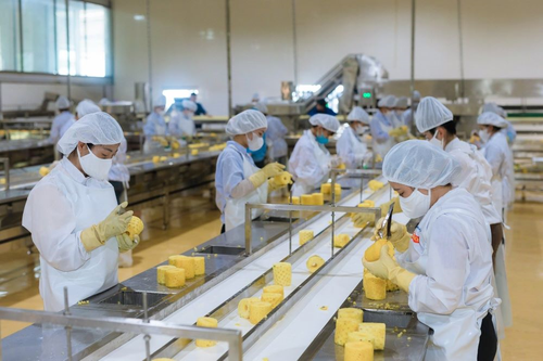 Nâng cao giá trị nông sản vùng Bắc Trung Bộ