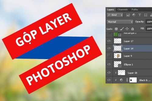 Cách gộp Layer trong Photoshop nhanh chóng và dễ thực hiện