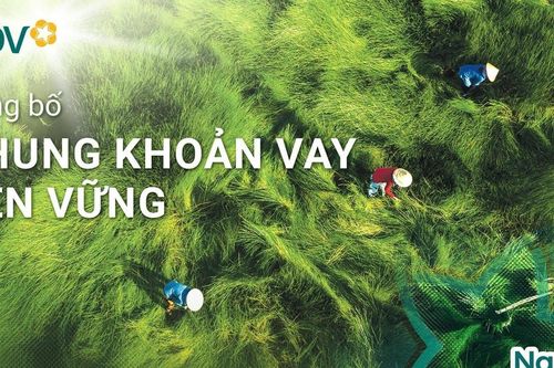 BIDV vào top 20 cổ phiếu phát triển bền vững nhất Việt Nam