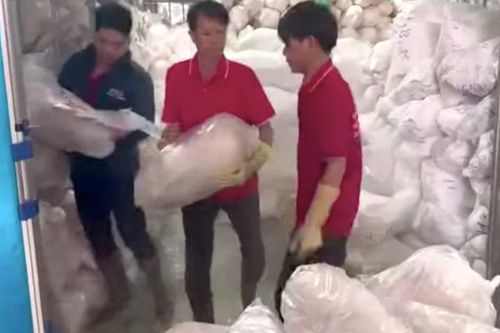 Phát hiện 100 tấn thịt heo không rõ nguồn gốc đã bốc mùi