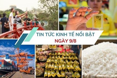 Tin tức kinh tế ngày 9/8: Thu ngân sách xuất nhập khẩu 7 tháng đạt gần 64% dự toán
