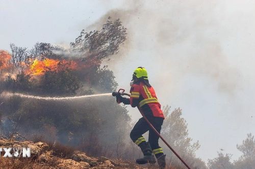 Thổ Nhĩ Kỳ: Giao thông qua eo biển Dardanelles gián đoạn do cháy rừng