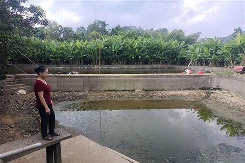 Cá chết hàng loạt ở Bắc Quang (Tuyên Quang): Chờ câu trả lời từ cơ quan chức năng