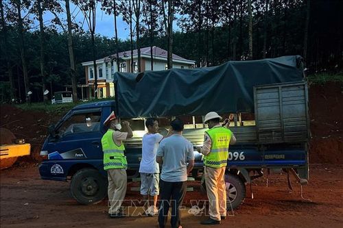 Lâm Đồng ngăn chặn một vụ vận chuyển lợn nghi nhiễm bệnh dịch tả châu Phi