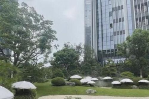 Khu chung cư cao cấp bỏ 'núi tiền' thuê ô che nắng cho cây