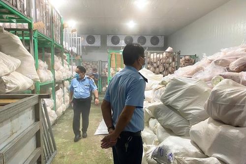 Tiêu hủy hơn 100 tấn thịt lợn bốc mùi hôi thối