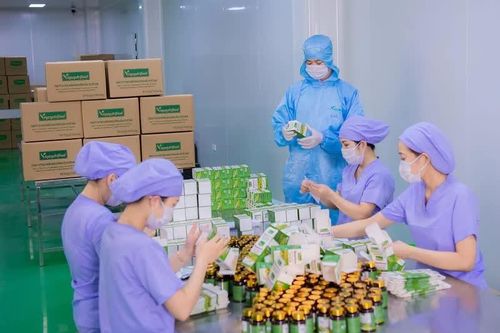 Gia Lai khởi công 2 dự án hơn 5.000 tỷ đồng trong tháng 8