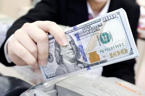 Tỷ giá USD hôm nay (9/8): Đảo chiều giảm sâu