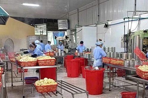 Chuyện của... dứa thơm (Bài 2): Đường tới... OCOP