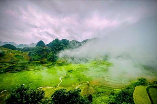 Bản tin Dự báo thời tiết ngày 10/8/2025