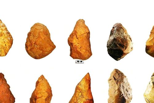 Xây dựng hồ sơ đề nghị UNESCO công nhận Quần thể khảo cổ Rộc Tưng - Gò Đá, đá cũ An Khê là Di sản thế giới